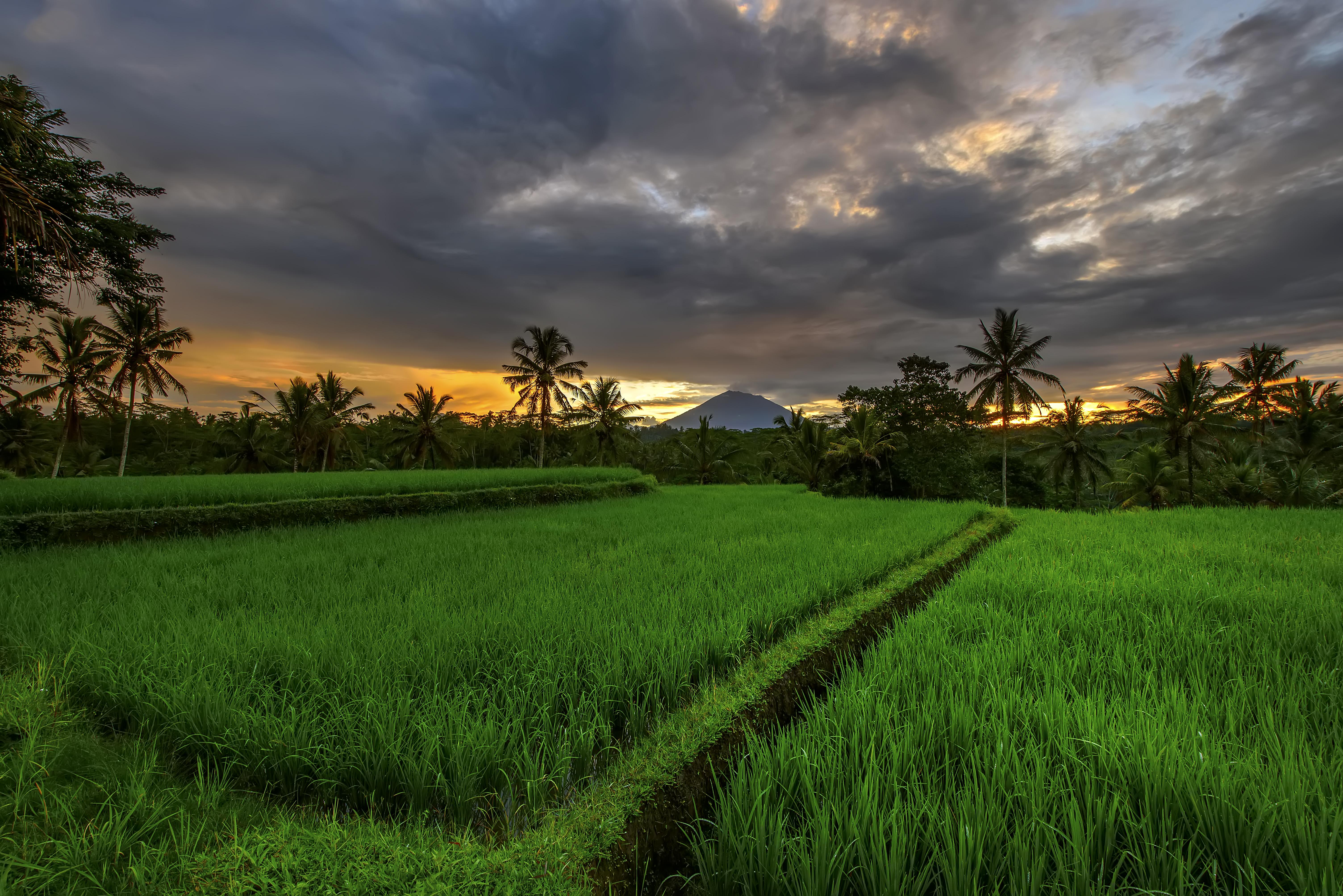 Kawi Resort A Pramana Experience Тегаллаланг Экстерьер фото