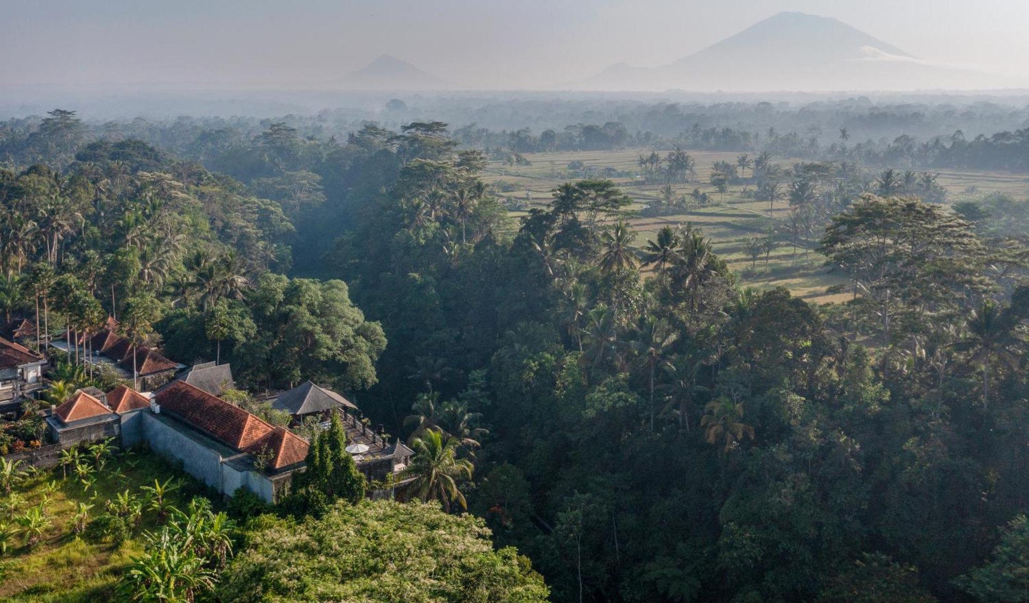 Kawi Resort A Pramana Experience Тегаллаланг Экстерьер фото