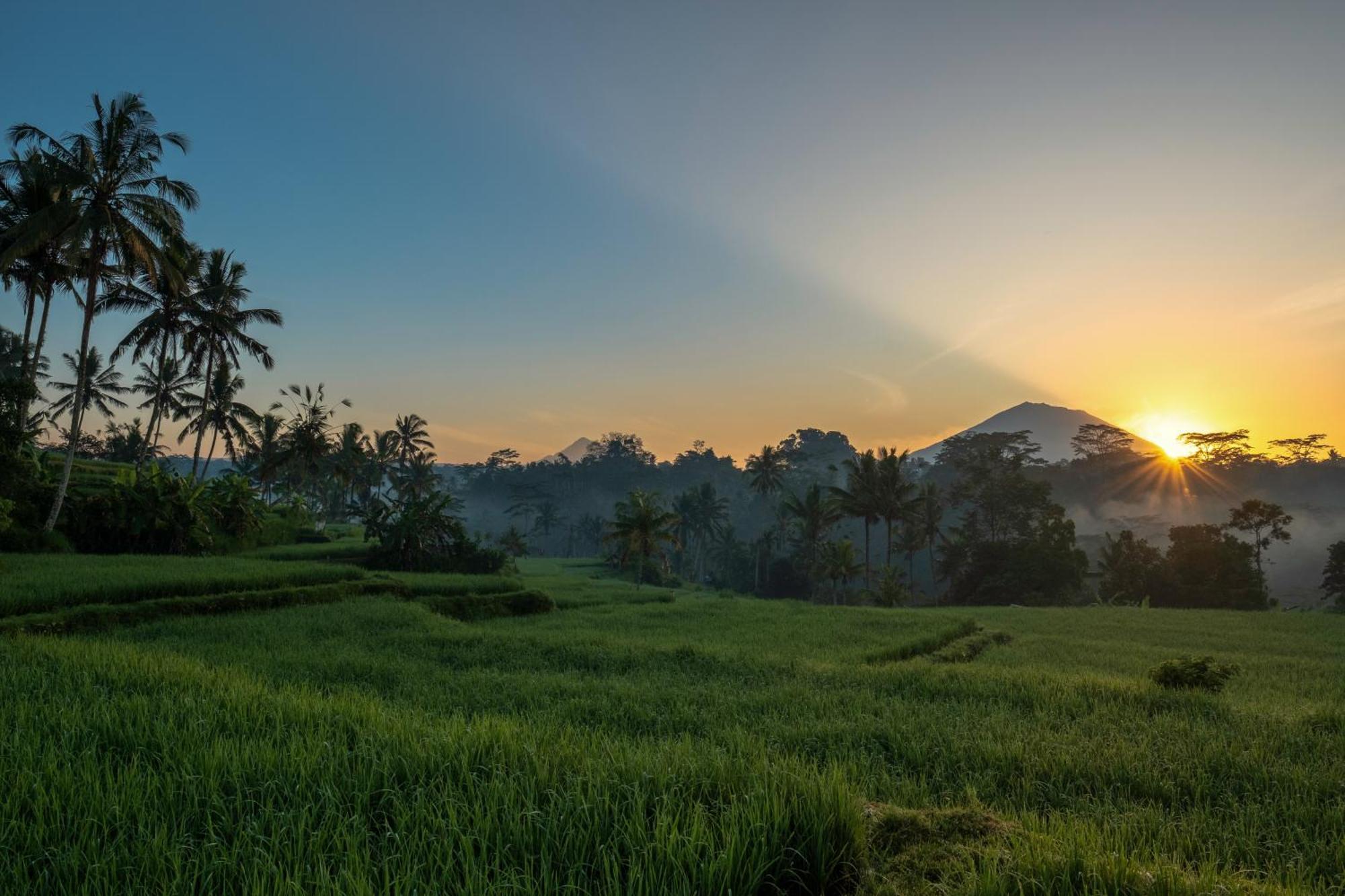 Kawi Resort A Pramana Experience Тегаллаланг Экстерьер фото